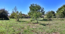 Plassac (17240) – Maison charentaise de 223 m² avec deux dépendances et terrain de 5 625 m²