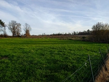 Rare sur le secteur maison DPE A – 144 m² – 4 chambres –  Salignac-de-Mirambeau