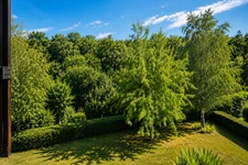 Maison familiale avec jardin, terrasse et forêt à deux pas (MONTATAIRE - 60160)