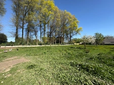 Propriété 244 m2 vie de plain-pied 5 chs 5388 m2 dont 1947 m2 divisible et constructible BEUZEVILLE LA GRENIER (76)