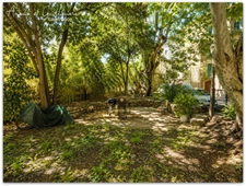 Immeuble 360m² habitable environ à vendre avec 6 appartements et double jardin - PEZENAS (34120)