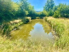 CORDELLE (42) CORPS DE FERME EN PIERRE AVEC VUE EXCEPTIONNEL - 6.8 Ha DE TERRAIN LIBRE - DEPENDANCES