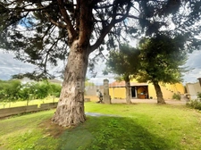 ROANNE - MAISON FAMILIALE A MODERNISER - 3 CHAMBRES + BUREAU - TERRAIN CLOS 705 m2 - GARAGE, CAVE ET DEPENDANCES 41 m2