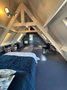 Propriete à vendre 11 pièces ORINCLES (65)