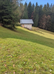 BEAUFORT Sur DORON (73) CHALET D’ALPAGE à Rénover 