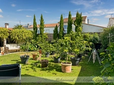 La Rochelle, Quartier de Beauregard, Maison à vendre 172 m2, 7 pièces, garage, jardin