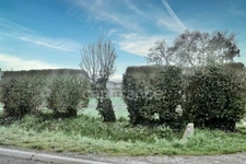For sale: nice building plot in the peaceful commune of Loiré near Vérines (17)