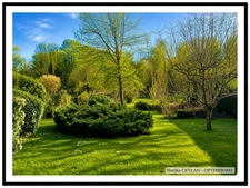 Maison à vendre 8 pièces  (60)