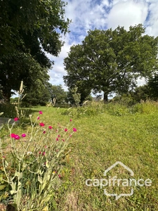 Maison en pierre rénovée 107 m² avec dépendance et terrain de 1 814 m² - Béganne (56)