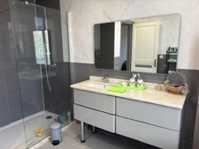 A VENDRE MAGNIFIQUE MAISON EN MEULIERE AU COEUR DE LA VILLE  BROU SUR CHANTEREINE (77)