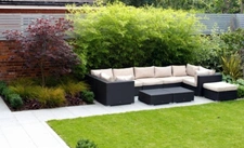 T4 dans son écrin de verdure Lentilly