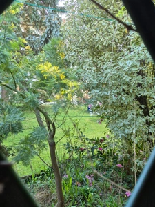 Maison à vendre 4 pièces  (76)