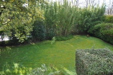 Maison à vendre 6 pièces SUCE SUR ERDRE (44)