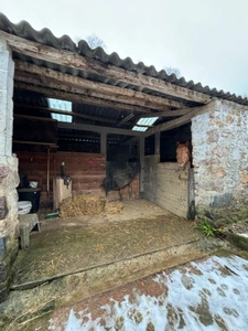 🌿 Propriété de caractère avec gîte et dépendances – Havre de paix au cœur de la nature