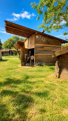 Maison de caractère 165 m² — 4 chambres — Suite indépendante — Piscine — Source privée — Terrain 1 499 m