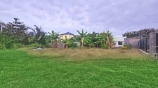 Charming 3-bedroom house with garden  (971)