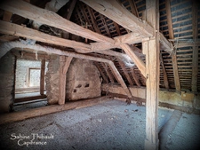Dpt Indre et Loire (37), à vendre MARCILLY-SUR-MAULNE, maison 7 pièces 173 m2 - Terrain clos