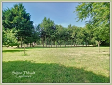 Département Maine-et-Loire (49) à vendre CHIGNE maison 12 pièces - 201 m2 - Terrain clos - Piscine