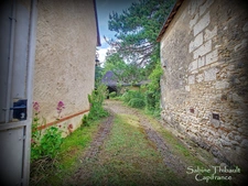 Dpt Indre et Loire (37), à vendre MARCILLY-SUR-MAULNE, maison 7 pièces 173 m2 - Terrain clos