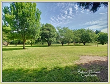 Département Maine-et-Loire (49) à vendre CHIGNE maison 12 pièces - 201 m2 - Terrain clos - Piscine