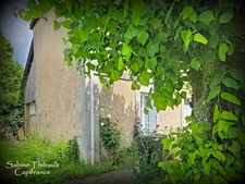 Department 37 (Indre-et-Loire), in Souvigné, 3-room house for sale - 88 m2 