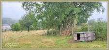 Dpt Sarthe (72), for sale SAINT GERMAIN D'ARCE agricultural land 5630 m2