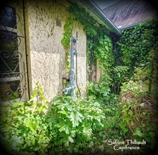 Dpt Indre et Loire (37), à vendre MARCILLY-SUR-MAULNE, maison 7 pièces 173 m2 - Terrain clos