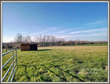 Department 72 (Sarthe), in Mayet, 4-room house for sale - 103 m2 with outbuildings - Land of approximately 5000 m2