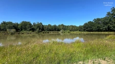 28 Hectare Estate with Private Lake, Main House, 2 Holiday Cottages and Over 400 m² of Outbuildings