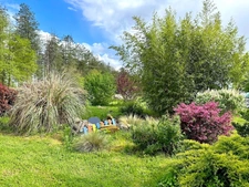 Plain-pied avec 1 ha de terrain – +140 m² utiles – jardin clôturé