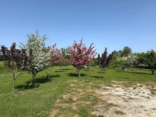 Propriété avec étang et 4,2 ha – Deux habitations modulables – Cadre naturel rare