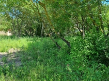 Terrain LIBRE CONSTRUCTEUR à vendre  FUVEAU (13)