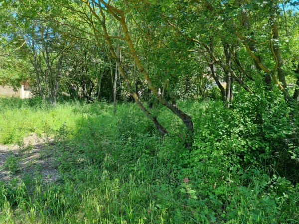 Terrain LIBRE CONSTRUCTEUR à vendre  FUVEAU (13)