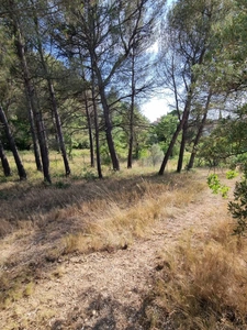 Terrain à vendre proche centre ville AIX EN PROVENCE (13)