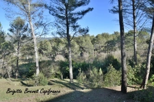 Dpt Bouches du Rhône (13), à vendre LA DESTROUSSE Maison Provençale de 230 m², piscine, sur terrain de 4 000 m²