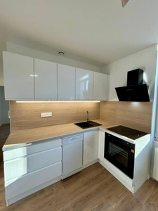 Villeurbanne- à vendre Appartement T2 rénové