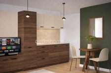 Appartement à vendre 1 pièces SATHONAY CAMP (69)