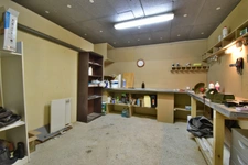 Renovated 100 m² house with a double garage, garden, and terraces