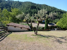 VOLONNE – PROPRIÉTÉ D’EXCEPTION 3,5 HA – 3 HABITATIONS – PISCINE CHAUFFÉE – VUE MONTAGNES 