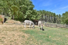 VOLONNE – PROPRIÉTÉ D’EXCEPTION 3,5 HA – 2 HABITATIONS – PISCINE CHAUFFÉE – VUE MONTAGNES 