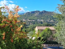 L'ESCALE – Maison individuelle avec véranda, garage et jardin arboré