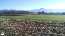 Terrain Constructible à vendre de 2 105,00 m²  (LE POET 05300)
