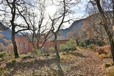 Maison dans un environnement boisé