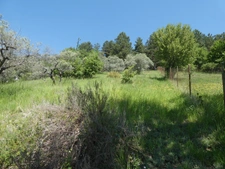 🏡 À VENDRE – Grande villa avec terrain boisé à Sisteron