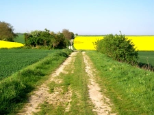 Terrain à vendre de 363,00 m² RULLY (60)