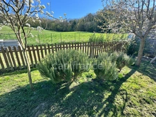Maison à vendre 6 pièces RESSONS LE LONG (02)