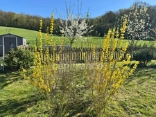 Maison à vendre 6 pièces RESSONS LE LONG (02)