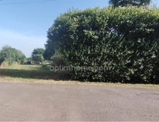 Terrain à vendre Guer (56) - 2930 m² dont 556m² constructibles - EXCLUSIVITÉ