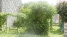 Maison de village en pierre avec dépendances