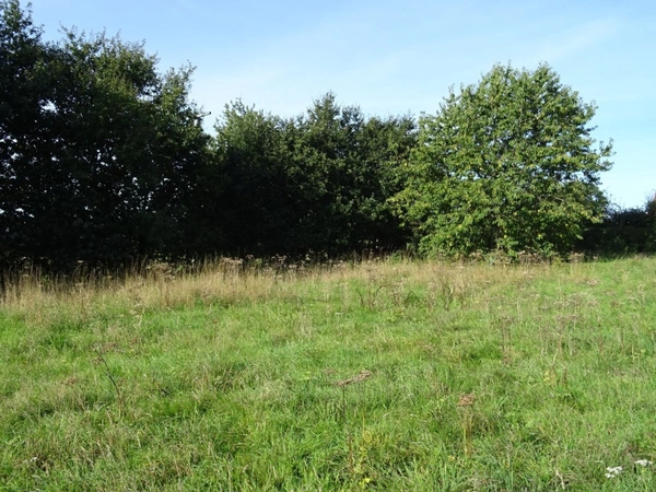 Dpt Seine Maritime (76), à vendre OHERVILLE terrain à bâtir